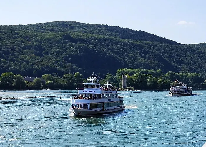 Apartment Peace Bingen am Rhein