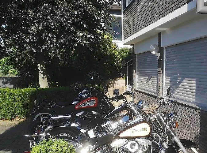 Peace Bingen am Rhein